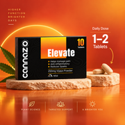 Elevate Pain Tablets | 500mg Potency | 250mg Vijaya Powder Pain Tablets – Natural Support for Mild to Moderate Pain, Joint Pain & Inflammation