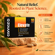 Elevate Pain Tablets | 500mg Potency | 250mg Vijaya Powder Pain Tablets – Natural Support for Mild to Moderate Pain, Joint Pain & Inflammation