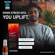 Uplift Plus: Strong Full-Spectrum Extract for Chronic Pain, De-Addiction and Insomnia