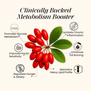 Liposomal Berberine 98% HCl+  High-Absorption Formula for Blood Sugar, Weight and Hormonal Balance