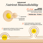 Liposomal Berberine 98% HCl+  High-Absorption Formula for Blood Sugar, Weight and Hormonal Balance
