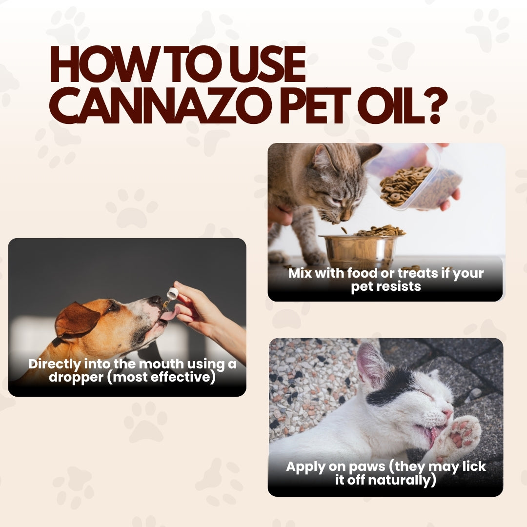 Cannazo Pure CBD Oil 