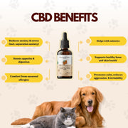 Cannazo Pure CBD Oil 