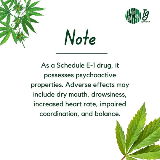 MEDICANN- Cannabis Leaf Extract
