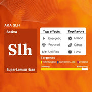 Uplift Plus Strong Full-Spectrum Extract for Chronic Pain, De-Addiction and Insomnia