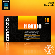 Elevate Pain Tablets | 500mg Potency | 250mg Vijaya Powder Pain Tablets – Natural Support for Mild to Moderate Pain, Joint Pain & Inflammation